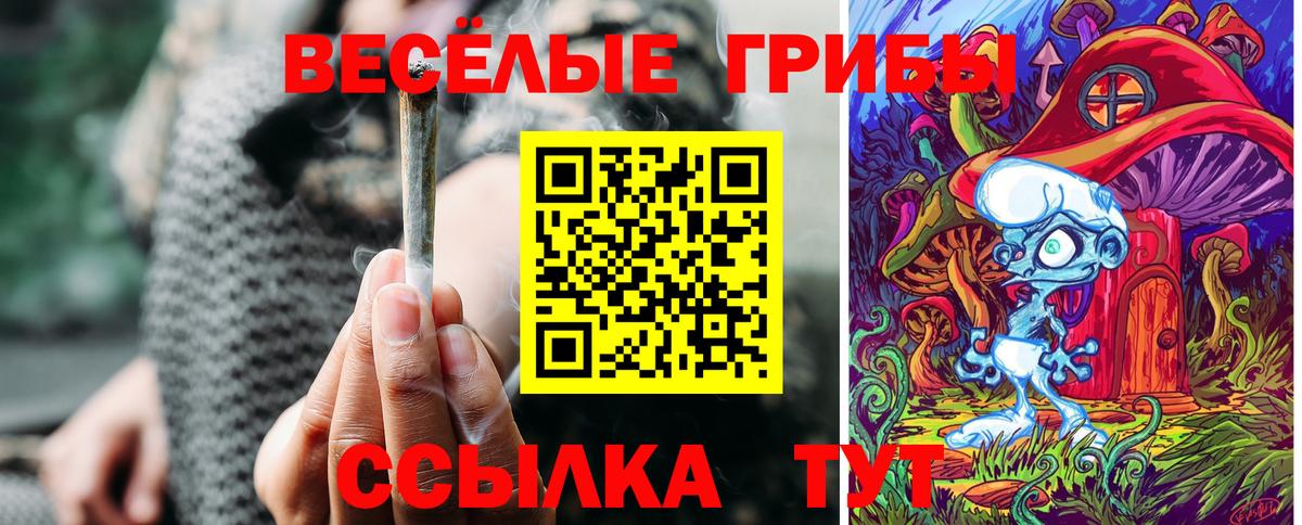 Галлюциногенные грибы Psilocybe Углич
