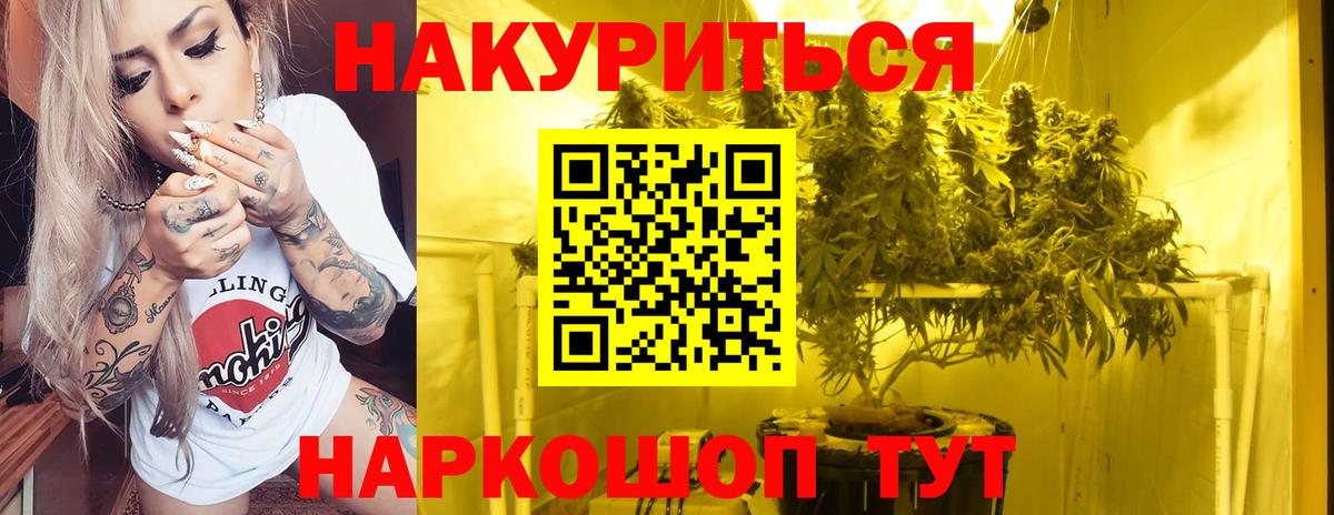 Бошки марихуана конопля Углич